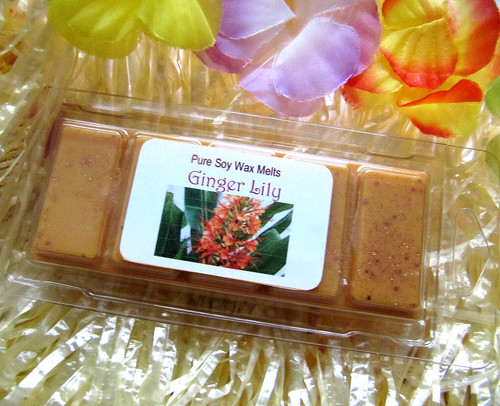 50g snap bar - snap, gingerlily