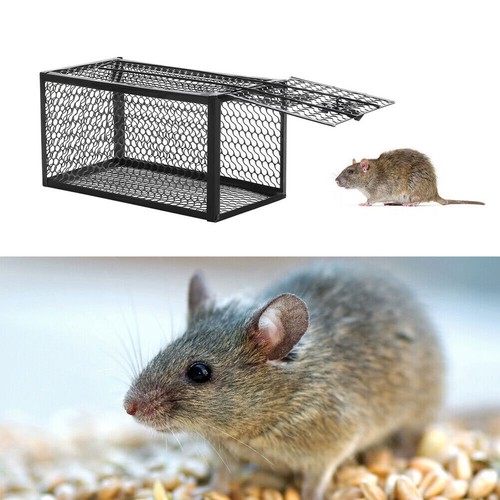 Mouse trap reusable humane - mouse,