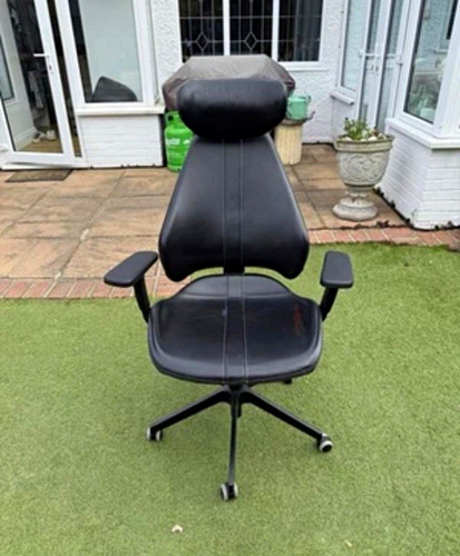 Executive black leather - black,