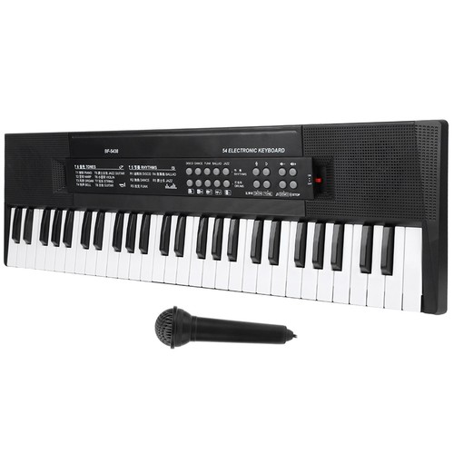 Electronic organ microphone - electronic,