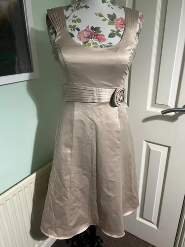Bhs petite champagne - champagne, knee