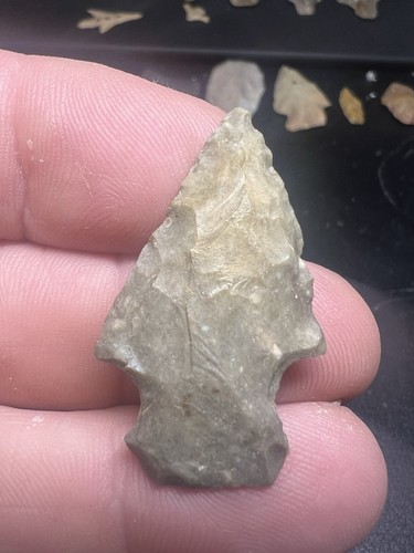 Montgomery flint indian - montgomery,