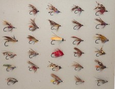 27 antique gut eyed salmon