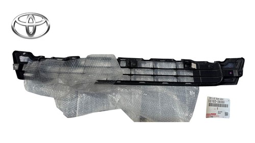 Oem grille radiator lower - oem, grille,