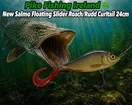 Pike fishing ireland new - pike,