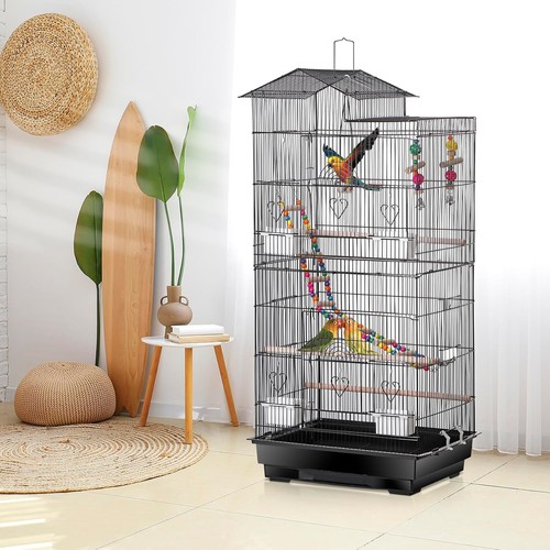 Budgies finches parakeets - finches,