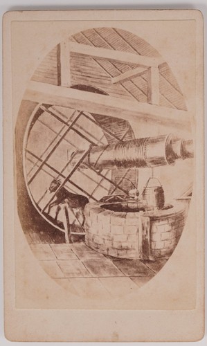 Antique cdv drawing goat in - antique,
