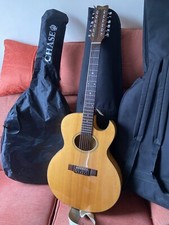 Washburn ? VERY RARE ? 12 String Acoustic Guitar ? Including Case