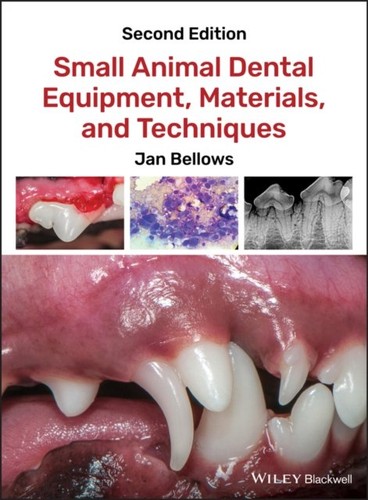 Small animal dental equipment - animal,