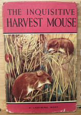 The Inquisitive Harvest Mouse