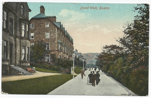 Buxton broad cavendish - broad, (cavendish