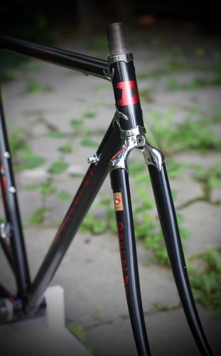 Daccordi classico frame - classico, no