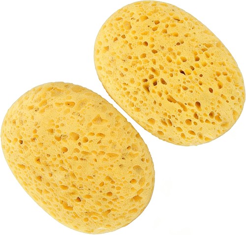 Pcs sea sponge inspired - 2, sponge,inspired