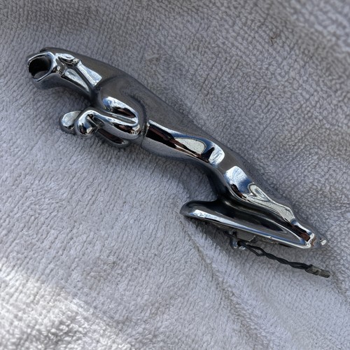 Leaping jaguar vehicle hood - jaguar,