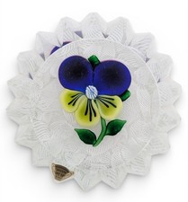 A St Louis Pansy On Muslin