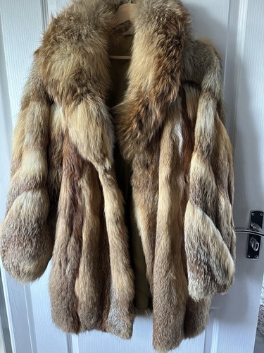 Field fox natural fur - field,