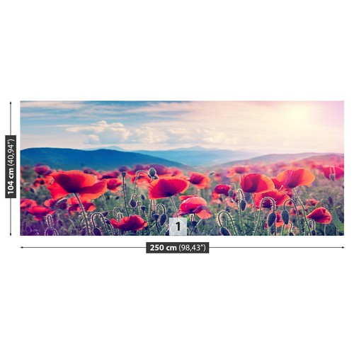 Photo wallpaper wall mural - photo,