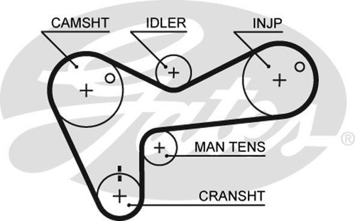 Genuine gates powergrip timing - powergrip,