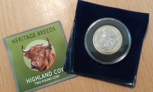 2024 highland cow - highland,