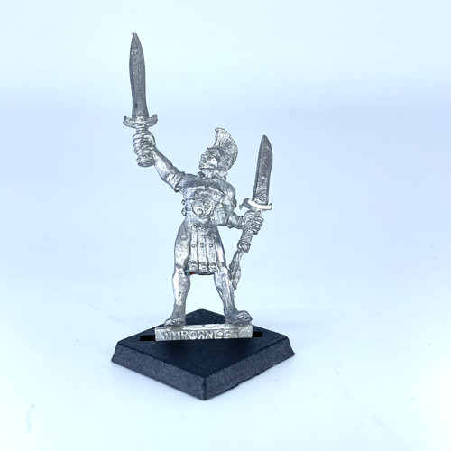 Wood elf wardancer - elf,