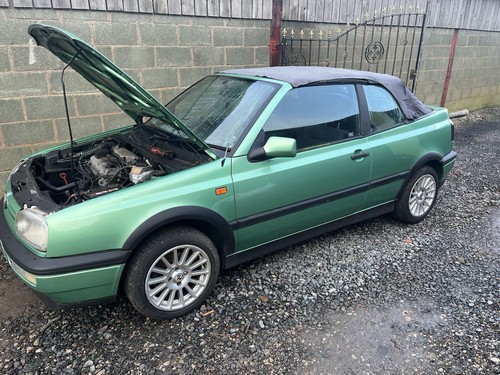 Alloys 4x100 golf polo - polo, lupo