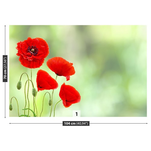 Photo wallpaper wall mural - photo,