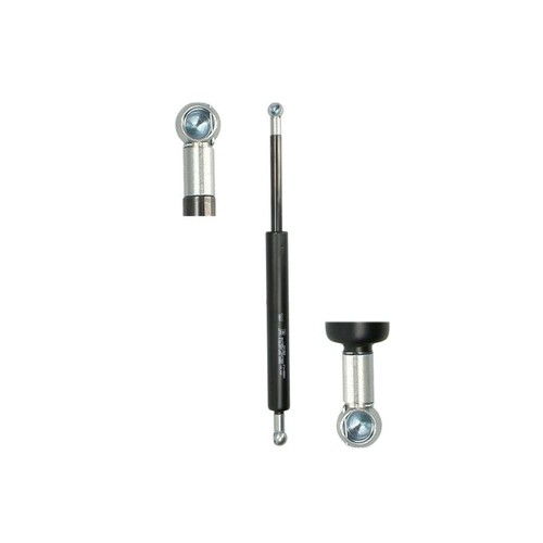 Gas spring trunk - trunk, max