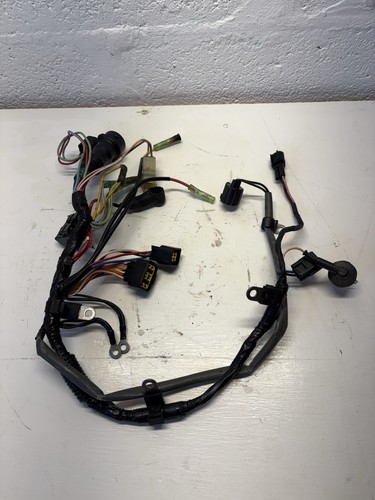 Engine wiring harness 75hp - harness,