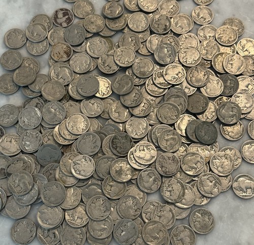 Lot buffalo nickels no - of,