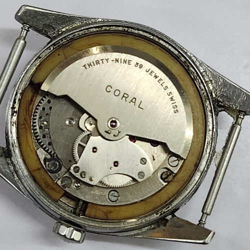 Vintage coral sea - coral, bear