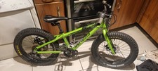 Genesis Caribou Boys Green Bike