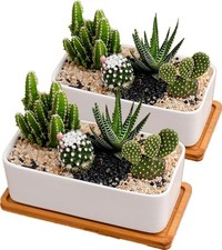 disdain White Ceramic Plant Pots Indoor, Succulent Plant Pot Small Plant Pots f