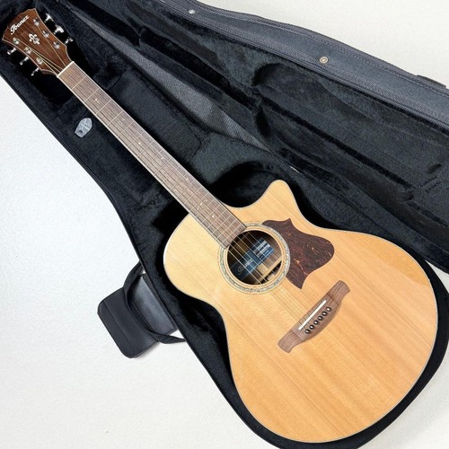 Top model ibanez ae900 - model,