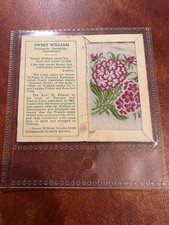 Kensitas Cigarette Silk, Flowers - Sweet William 1933