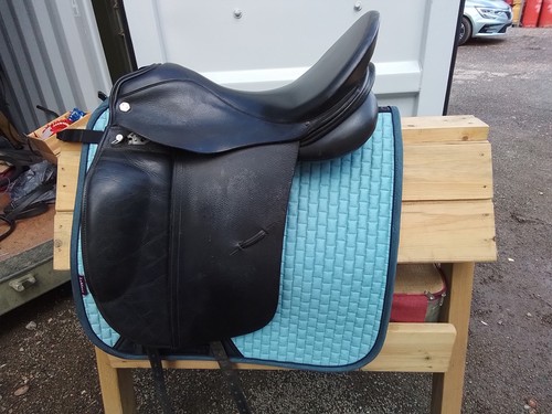 Albion platinum dressage - albion,