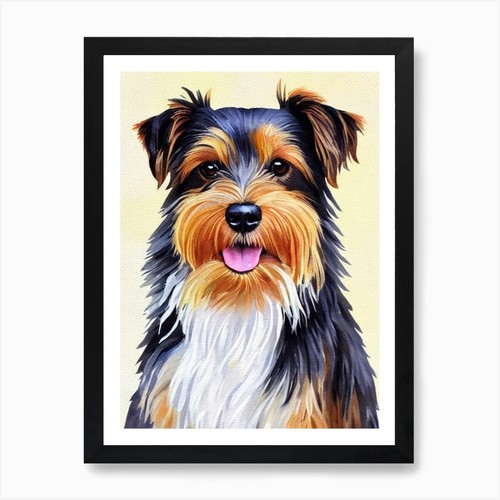 Australian terrier - terrier, 2