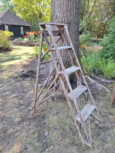 Antique vintage step - antique, 5-step