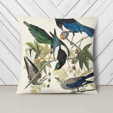 Plump Cushion Magpie, Crow &