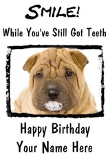 Shar-Pei Puppy    A5