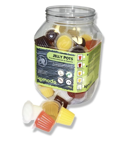 Komodo jelly pots mixed - komodo,