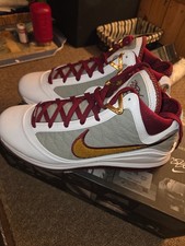 Nike Lebron 7 QS MVP mens size