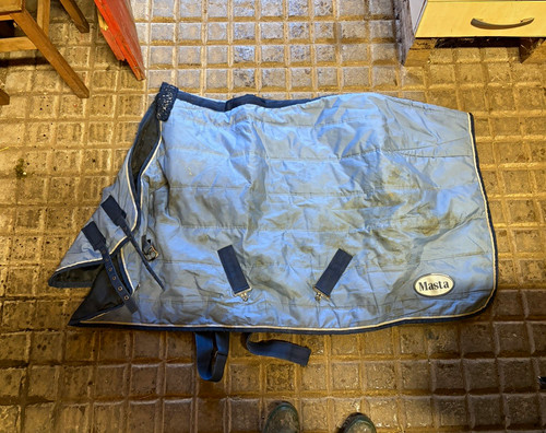 Masta horse stable - masta, blue