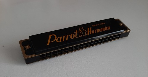 Mouth harmonica - mouth,