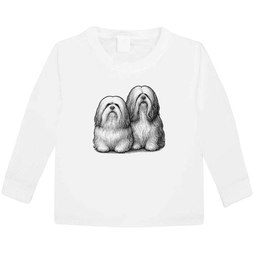 Two lhasa apso dogs - 'two, dogs'