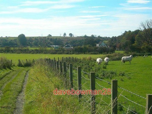 Photo towards the mainholm - towards,