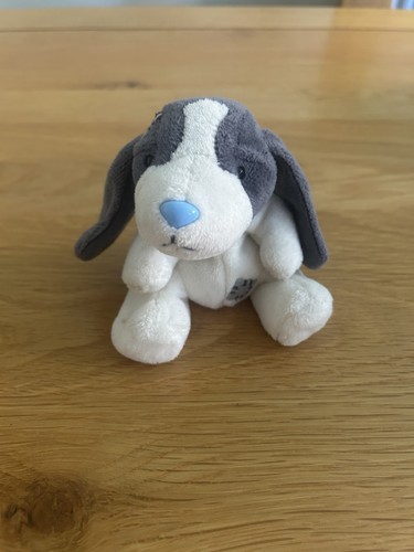 Betsey basset hound - betsey,