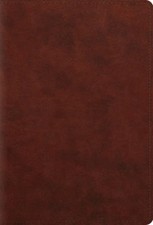 ESV Student Study Bible (Leather / fine binding)