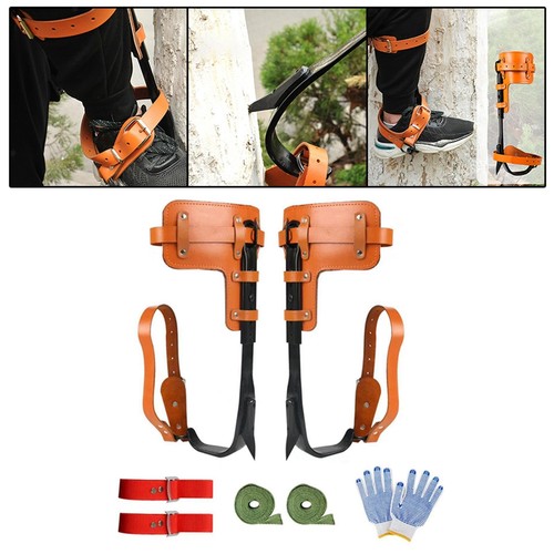 Tree climbing spike - climbing,