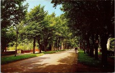 Ave Littlestone Sea Romney