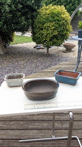 Set bonsai rectangular - set, 3